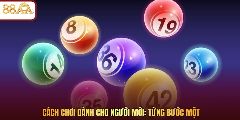 Cách chơi dành cho người mới: từng bước một