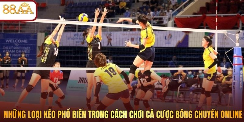 Những loại kèo phổ biến trong cách chơi cá cược bóng chuyền online